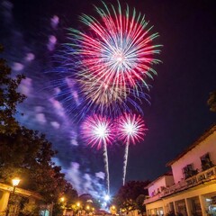 colorful fireworks in the night sky