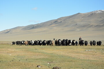 Mountains, beautiful steppes and nature in western Mongolia, Bayan Olgii province.