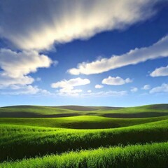 Obraz premium green field, blue sky, clouds