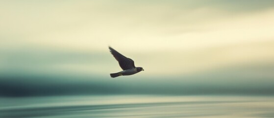 Naklejka premium A lone bird soars gracefully over blurred tranquil skies, symbolizing freedom and serenity in motion.
