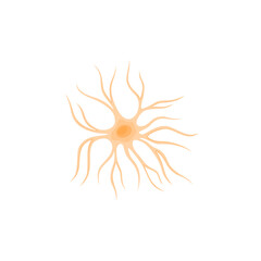 Vector illustration of Astrocyte