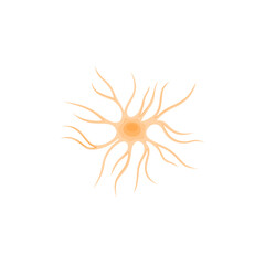 Vector illustration of Astrocyte