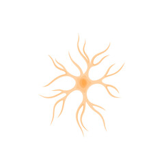 Naklejka premium Vector illustration of Astrocyte