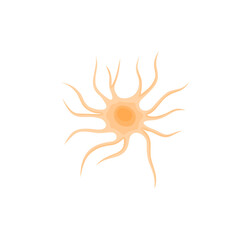 Vector illustration of Astrocyte