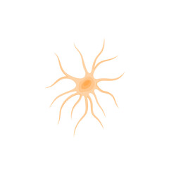 Vector illustration of Astrocyte