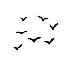 A flock of flying birds. Vector