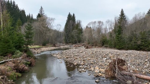 River fluvial terrace stones sediment Jeseniky autumn fall after flood meander drone aerial mountain in sandy delta sand alluvium, benches forest spruce wetland Cerna Opava swamp, Europe