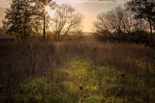 A  gloomy place in the evening sun
