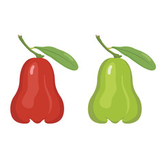 Red and green rose apples illustration vector