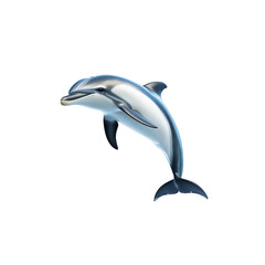 Fototapeta premium Elegant Pacific White-Sided Dolphin Leaping from the Ocean