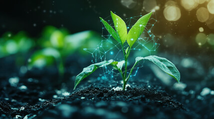 young plant with cyber display of technology, symbolizing growth and innovation in agriculture. vibrant green leaves contrast with dark soil, creating hopeful atmosphere