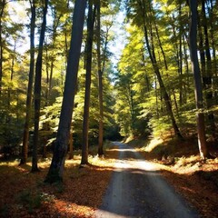 Obraz premium A high-resolution ultrarealistic image capturing a serene forest path in early autumn, created in a digital photo style. Tall, slender trees with vibrant green leaves form a canopy, letting sunlight f