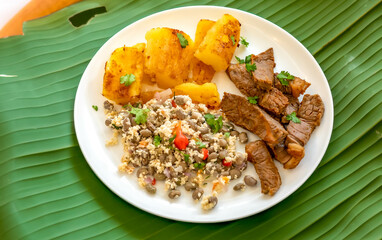 Traditional rustic tropical Brazilian dish, sun-dried beef with green beans, cassava, biquinho pepper. Creative rustic photography