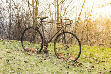 Fototapeta premium Very old iron rusty bike stands on the green grass and autumn yellow fallen leaf at sunset, the concept of aging and approaching the end of life