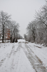 Fototapeta premium Snowy forest road.