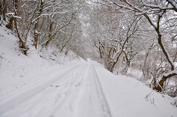 Obraz premium Winter.