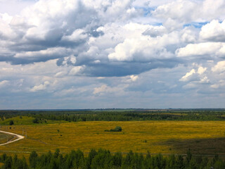 wide summer field with trees in the distance under a calm blue sky