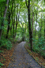 Autumn view of the Luitpold park near Olympic Park in Munich, Bavaria, Germany