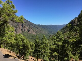 Scenic view of a vast mountain range covered with lush green pine forests under a clear blue sky, offering a sense of tranquility and natural beauty. Perfect for nature lovers and explorers.