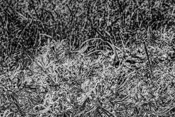 億光年の時間軸を思考してます