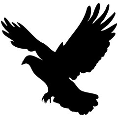 Set black silhouette flying dove. Silhouette of flying birds.