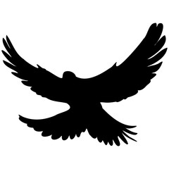 Set black silhouette flying dove. Silhouette of flying birds.