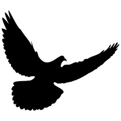 Set black silhouette flying dove. Silhouette of flying birds.