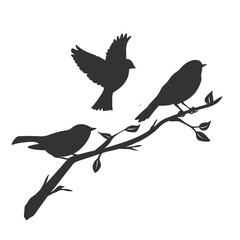 Birds on Branch Silhouette Vector Illustration