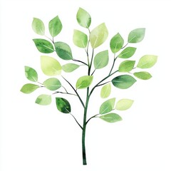 Gentle Tree with Sparse Green Leaves in Open Composition for Nature-Inspired Artwork and Design