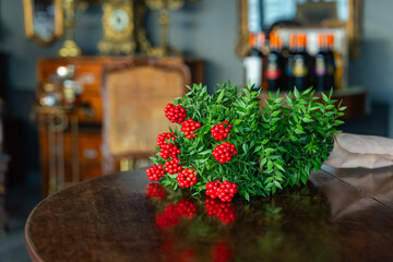 Christmas Flower 'Cochina Flowers' (Kokina Çiçeği) Bouquet on the Christmas Background Photo, Uskudar, Istanbul Turkiye (Turkey)