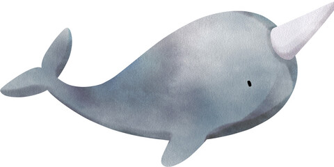 Handdrawn Narwhale Watercolor