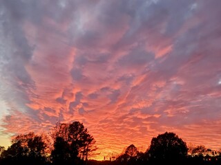 Pink and orange sunrise over the trees