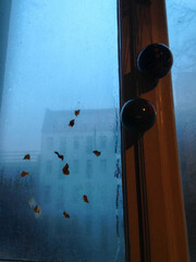 creative decoration on window