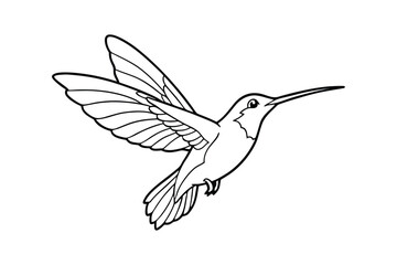 Hummingbird Line Art Vector - Delicate Flying Bird Outline, Minimalist Black & White Tropical Design