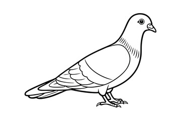 Pigeon Vector Illustration - Minimalist Bird Design with Wings, Urban Wildlife Silhouette, Elegant Line Art