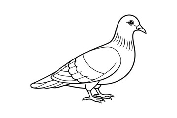 Pigeon Vector Illustration - Minimalist Bird Design with Wings, Urban Wildlife Silhouette, Elegant Line Art