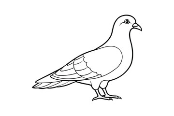 Pigeon Vector Illustration - Minimalist Bird Design with Wings, Urban Wildlife Silhouette, Elegant Line Art