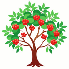 rowan tree vector illustration