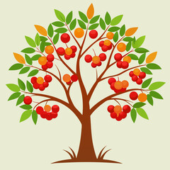 rowan tree vector illustration