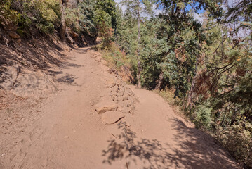 1st Switchback along North Kaibab Trail at North Rim AZ