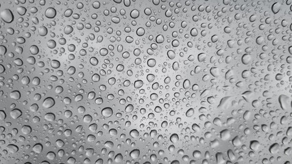 Raindrops on glass close-up. Black and white monochrome. Selective focus