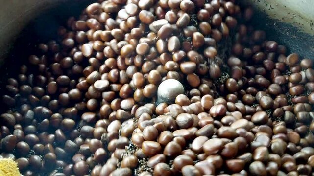 Street vendor roasting chestnuts in a large, rotating machine creates a warm, inviting aroma in the bustling market