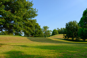 Rolling Green Landscape Under Clear Blue Sky