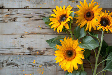 Obraz premium Yellow sunflowers on a wooden background.
