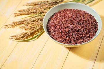 Close-up of a bowl of red rice is placed on a yellow table next to ears of rice..The raw rice is spread out in the bowl, copy-space.