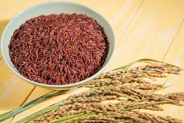 A bowl of red rice is placed on a yellow table next to ears of rice.The bowl is filled with raw rice.The rice is spread out in the bowl.copy-space.close-up