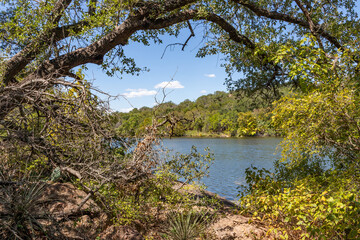 Trees framing the Inks lake