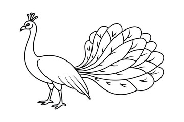 Rooster Vector Illustration - Farm Bird Design with Feathers, Rustic Minimalist Outline, Elegant Farm Art