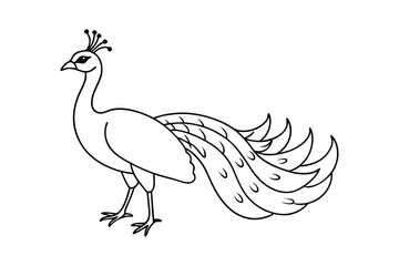 Rooster Vector Illustration - Farm Bird Design with Feathers, Rustic Minimalist Outline, Elegant Farm Art