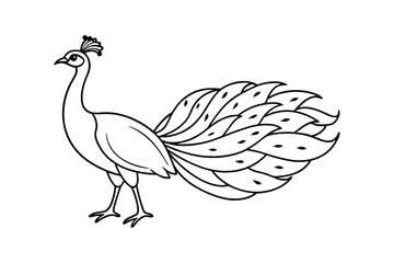 Rooster Vector Illustration - Farm Bird Design with Feathers, Rustic Minimalist Outline, Elegant Farm Art